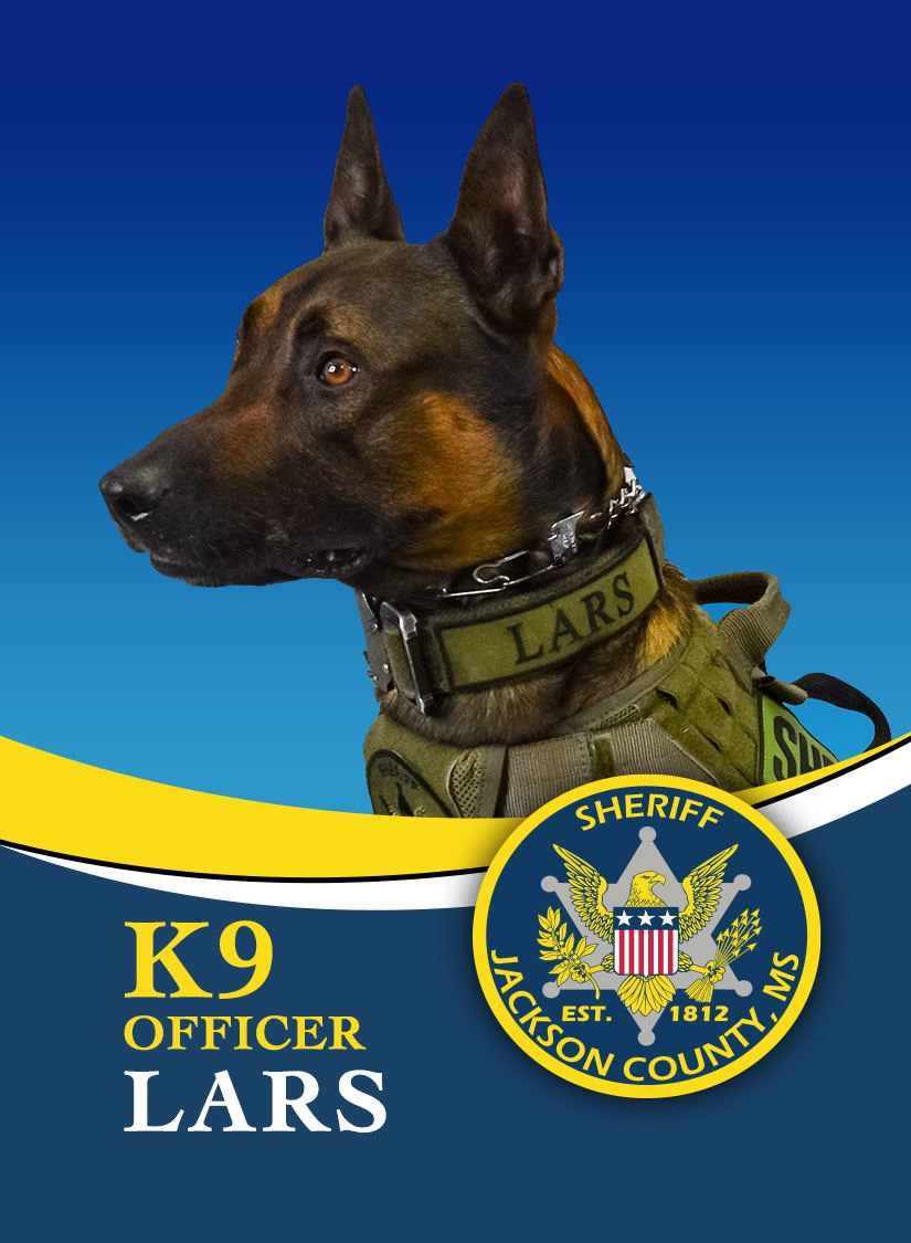 K9 Lars