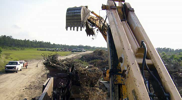 Image of large claw machinery in forest