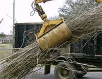 Crane picking up tree branches
