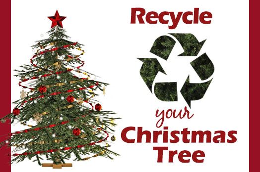 Christmas Tree Recycling