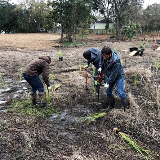 Arthur Street Cleanup